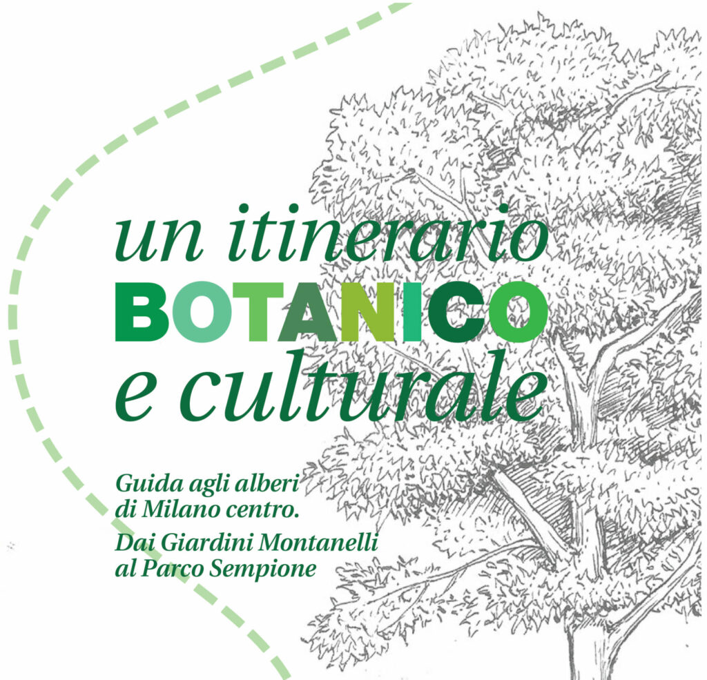 Guida agli alberi di Milano. 25 ottobre 2023